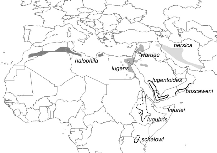 Distribution of the 9 different taxa of Oenanthe lugens complex